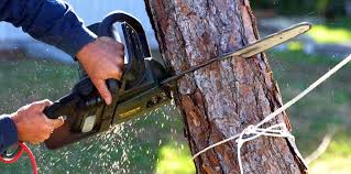 Best Soil Testing and Treatment  in Troutman, NC